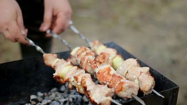 Barbecue Meat Roasted Lattice Fire Roasting Flesh — Stock Video