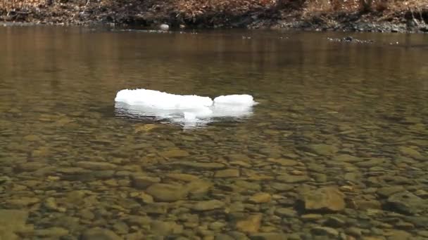 떠다니는 얼음층 얼음이 녹는다 — 비디오