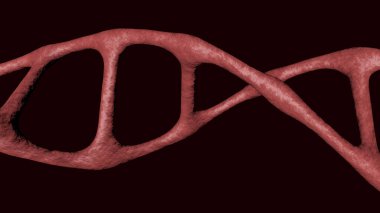 DNA molekül geni izole edildi. Genetik programı depolayan bir makro molekül.