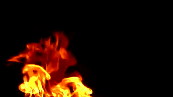 Feu Furieux Sur Fond Noir Belles Flammes Proches Feu Qui — Video