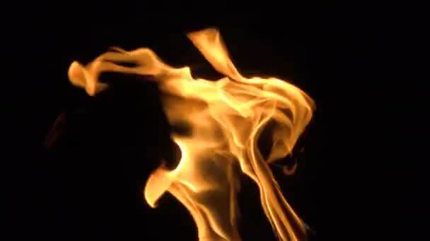 Μια Έξαλλη Φωτιά Μαύρο Φόντο Όμορφες Φλόγες Κλείνουν Φωτιά Στο — Αρχείο Βίντεο