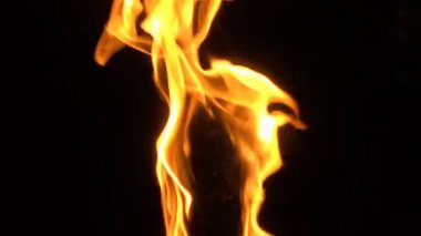 Siyah arka planda şiddetli bir yangın. Güzel alevler kapanıyor. Geceni yakan ateş .
