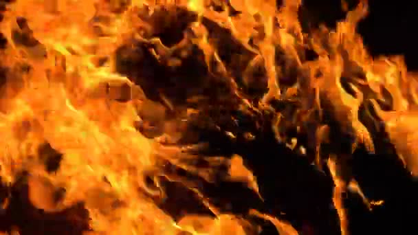 Feu Furieux Sur Fond Noir Belles Flammes Proches Feu Qui — Video