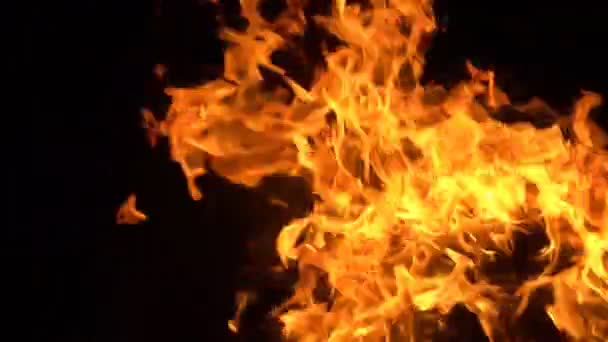 Feu Furieux Sur Fond Noir Belles Flammes Proches Feu Qui — Video