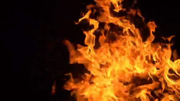 黑色背景上的熊熊烈火美丽的火焰逼近 燃烧着你的夜晚的火焰 — 图库视频影像
