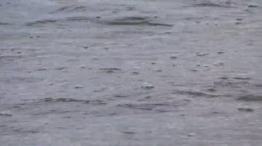 Yağmur Damlaları 'nın arka planı. Yağmur damlaları düşer ve suda daireler çizer. Yağmur mevsimi hüzün ve hayaller için harika bir zamandır..