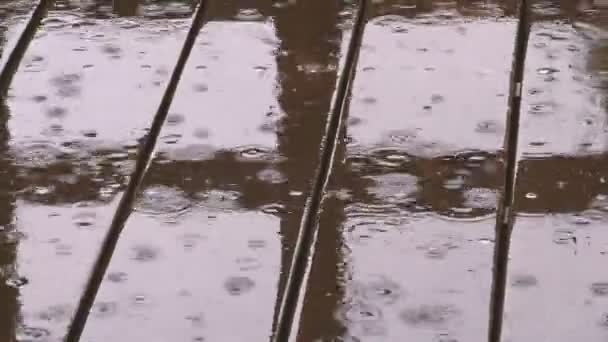 Bakgrund Regn Droppar Regndroppar Faller Och Lämnar Cirklar Vattnet Regnperioden — Stockvideo