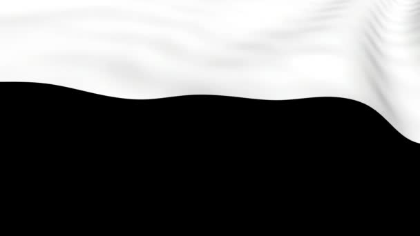 波浪白色的面料在黑色的背景上在3D飞行 波浪运动中的织物 — 图库视频影像