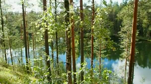 Floresta Selvagem Lagos Norte Europa Paisagem Natureza Ecologicamente Limpa Norte — Vídeo de Stock