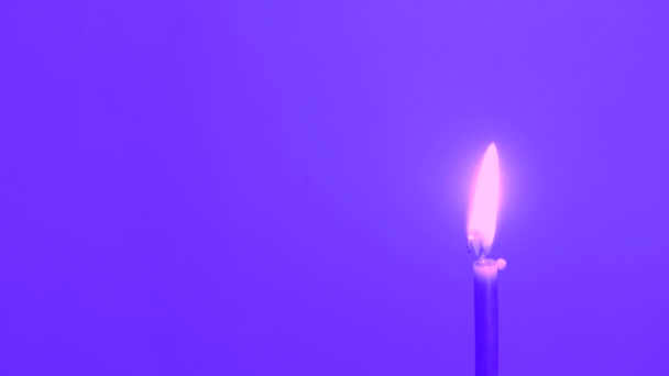 Lilin Lilin Dengan Nada Ungu Sebuah Pemandangan Yang Santai Dari — Stok Video