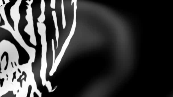 Abstraktní Zebra Kůže Pozadí Afrického Tématu Volně Žijících Zvířat — Stock video