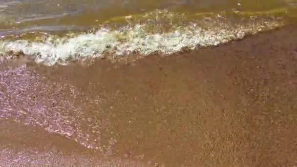Havsvåg Som Uppslukar Stranden Delar Naturligt Vatten Havssurfvågor Storm Vilda — Stockvideo