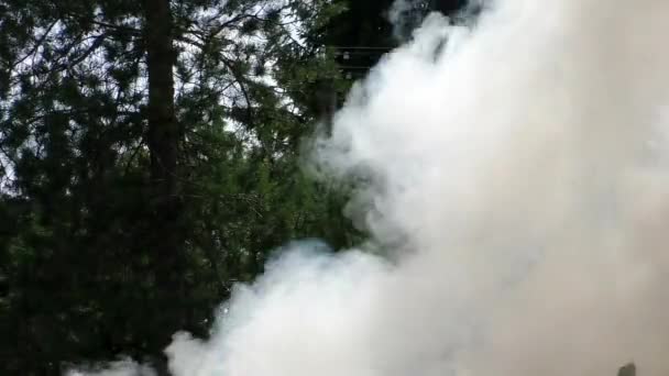 Incêndio Florestal Está Aceso Ameaça Flora Fauna Nas Chamas — Vídeo de Stock