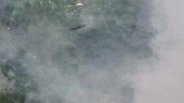 Vahşi orman yangını başladı..
