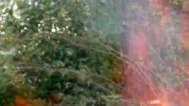 Un feu de forêt sauvage s'enflamme. — Video