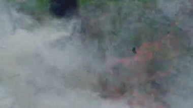 Vahşi orman yangını tutuştu. Alevler içindeki bitki ve hayvanlara karşı tehdit.