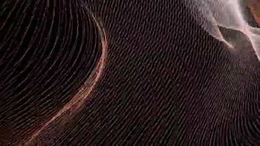 Fantastik sızıntılar çok renkli ışık. Siyah arkaplana karşı soyut renkli fraktal çizgiler eğrisi.