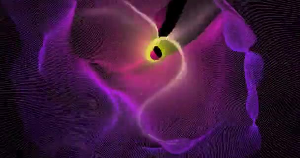 Fantastische Lecks Buntes Licht Abstrakte Farbige Fraktallinien Vor Schwarzem Hintergrund — Stockvideo
