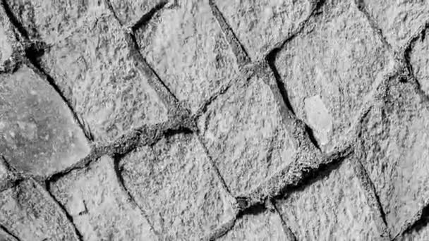 Texture Surface Des Carreaux Sur Les Blocs Résumez Mouvement Une — Video