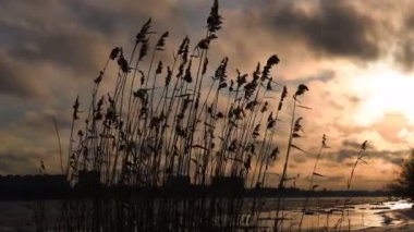 Güneş batan gökyüzünün arka planına karşı sahil bastonu. Kuzeyde otla kaplı sakin bir manzara.