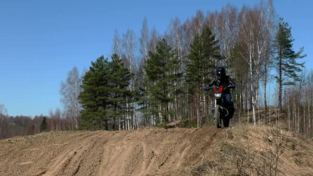 Jinete Carrera Enduro Motocicleta Bosque Rugosidad — Vídeo de stock