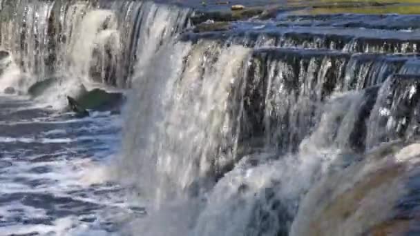 Vista Cascada Flujo Paisaje Arroyos Salvajes Agua Que Cae — Vídeos de Stock