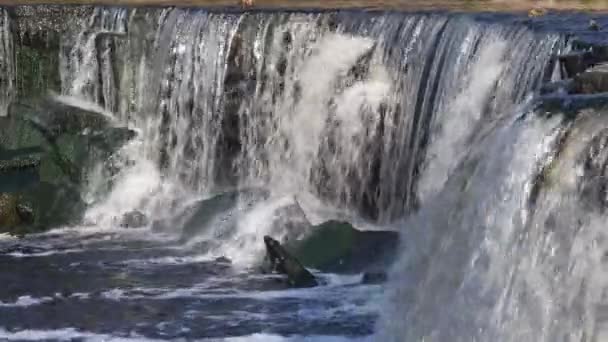 Вид Водоспад Пейзаж Диких Потоків Падаючої Води — стокове відео