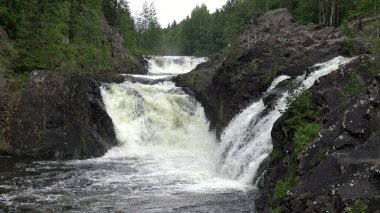 Vahşi bir doğada, kayalıklardaki Vahşi Şelale. Yüce Büyük ve güçlü şelale Kuzey 'in güzel ormanları.
