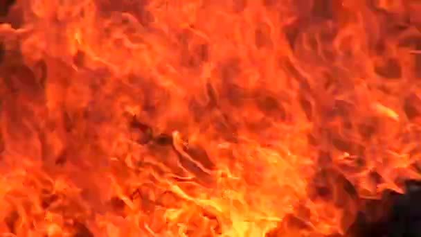 Den Brinnande Byggnaden Nära Brandkårsincidenten — Stockvideo