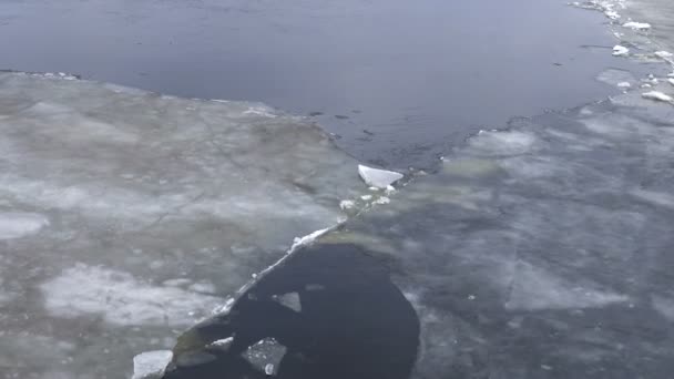 Velká Ledová Klec Plovoucí Vodě Led Jaře Vznáší Taje Jaře — Stock video