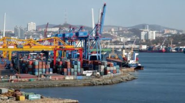 Deniz limanındaki konteyner terminali. Kargo gemilerinin yükleme ve boşaltma portları, vinç ve ekipman işletimi.