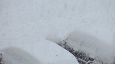 Bir kar fırtınası arabaları karla kapladı. Şiddetli kar yağışında araba sürmek için kötü bir hava..