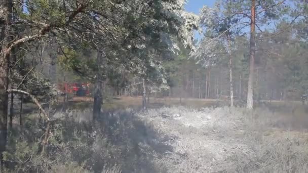 산불은 환경에 악영향을 끼친다 삼림을 을제어 — 비디오