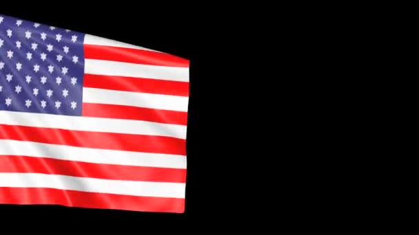 국기검은 미국의 상징물이 조직의 — 비디오