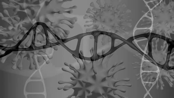 3D的Dna和Covid病毒细胞头孢病毒和基因螺旋体 — 图库视频影像