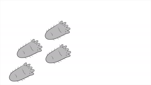 Stopy Chodícího Rámu Bigfoota Sasquatch Kroky Jsou Komické — Stock video