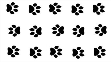 Hayvanların ayak izlerini takip ediyor. Kedi patileri arka planları süsler..