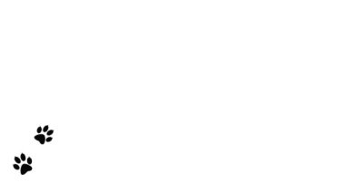 Arka planda hayvan pençesi izleri. Yürüyen hayvan ayak izleri Çizgi film komik patileri.