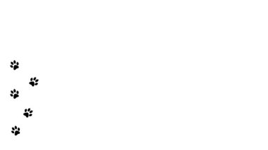 Arka planda hayvan pençesi izleri. Yürüyen hayvan ayak izleri Çizgi film komik patileri.