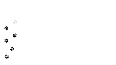 Arka planda hayvan pençesi izleri. Yürüyen hayvan ayak izleri Çizgi film komik patileri.