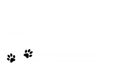 Arka planda hayvan pençesi izleri. Yürüyen hayvan ayak izleri Çizgi film komik patileri.