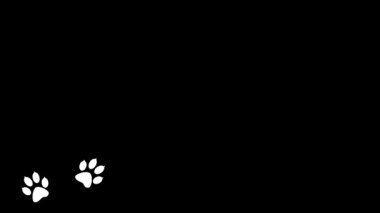 Arka planda hayvan pençesi izleri. Yürüyen hayvan ayak izleri Çizgi film komik patileri.