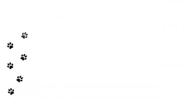 Arka planda hayvan pençesi izleri. Yürüyen hayvan ayak izleri Çizgi film komik patileri.