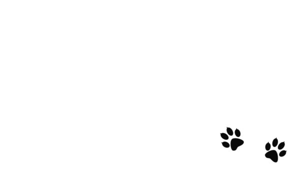 Фон Тваринних Лап Відбитки Сліди Ходьби Тварин Мультфільм Комікси Смішні — стокове відео