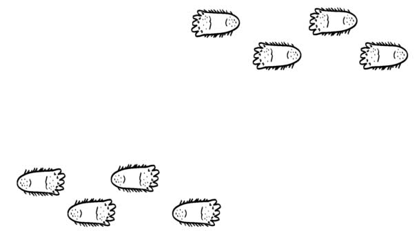Krok Chodzącej Wielkiej Stopy Ślady Stóp Wielkiego Stopnia Komiczne — Wideo stockowe