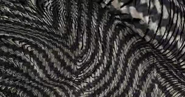 Текстурная Пульсирующая Материя Абстрактная Ткань Движении — стоковое видео