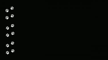 İnsan ve hayvan izlerinin izleri. Hareket eden çizgi film izleri.