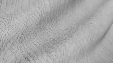 Beyaz desenli bir kumaş sallıyor. Hareket halindeki soyut tuval.