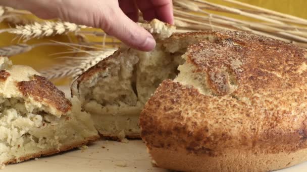 Сніданок Свіжого Запеченого Домашнього Гарячого Хліба Сільська Традиція Випічки Їжі — стокове відео