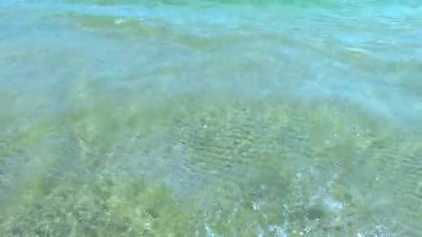 Azure fale plaży oceanicznej. — Wideo stockowe